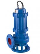Sewage pump