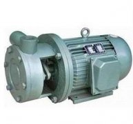 Vortex pump